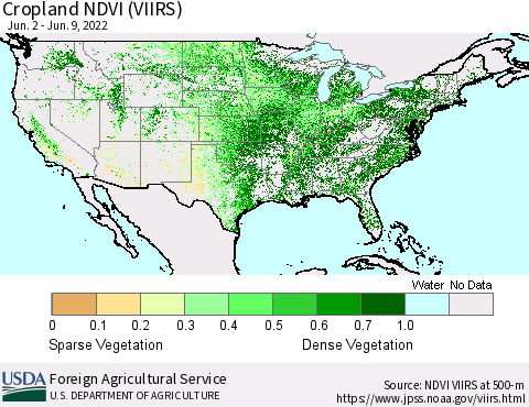 United States Cropland NDVI (VIIRS) Thematic Map For 6/1/2022 - 6/10/2022