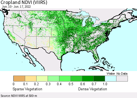 United States Cropland NDVI (VIIRS) Thematic Map For 6/10/2022 - 6/17/2022