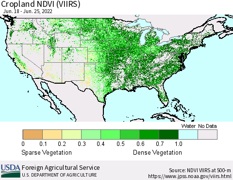 United States Cropland NDVI (VIIRS) Thematic Map For 6/21/2022 - 6/30/2022