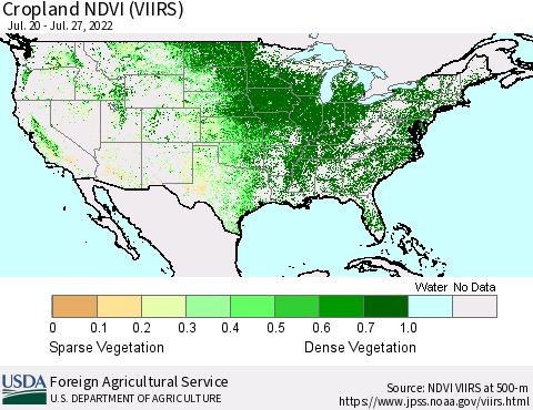 United States Cropland NDVI (VIIRS) Thematic Map For 7/21/2022 - 7/31/2022