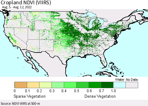 United States Cropland NDVI (VIIRS) Thematic Map For 8/5/2022 - 8/12/2022