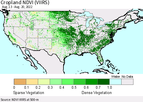 United States Cropland NDVI (VIIRS) Thematic Map For 8/11/2022 - 8/20/2022
