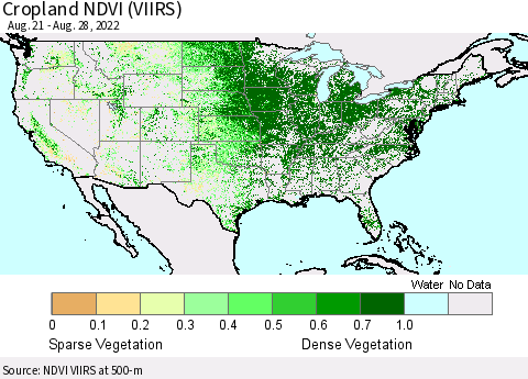 United States Cropland NDVI (VIIRS) Thematic Map For 8/21/2022 - 8/28/2022