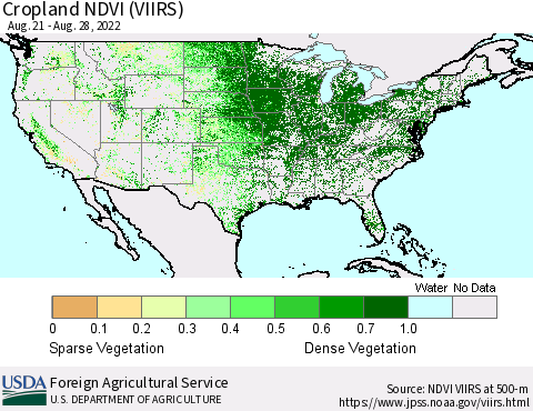 United States Cropland NDVI (VIIRS) Thematic Map For 8/21/2022 - 8/31/2022