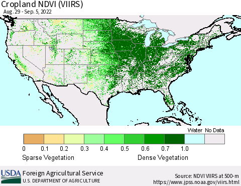 United States Cropland NDVI (VIIRS) Thematic Map For 9/1/2022 - 9/10/2022
