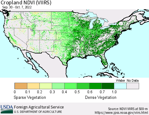 United States Cropland NDVI (VIIRS) Thematic Map For 10/1/2022 - 10/10/2022