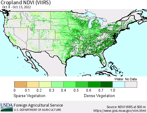 United States Cropland NDVI (VIIRS) Thematic Map For 10/11/2022 - 10/20/2022
