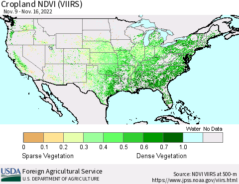 United States Cropland NDVI (VIIRS) Thematic Map For 11/11/2022 - 11/20/2022