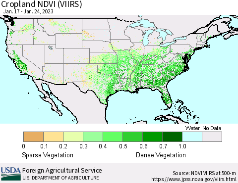United States Cropland NDVI (VIIRS) Thematic Map For 1/21/2023 - 1/31/2023