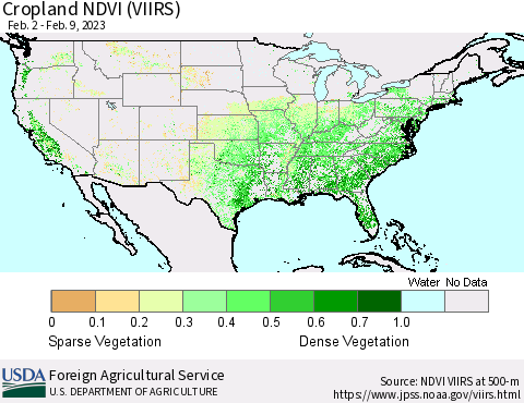 United States Cropland NDVI (VIIRS) Thematic Map For 2/1/2023 - 2/10/2023