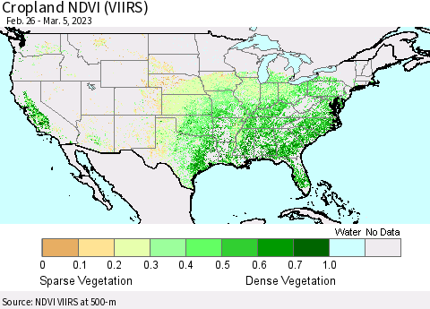 United States Cropland NDVI (VIIRS) Thematic Map For 2/26/2023 - 3/5/2023