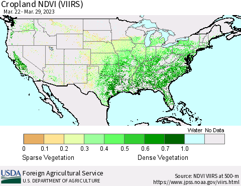 United States Cropland NDVI (VIIRS) Thematic Map For 3/21/2023 - 3/31/2023