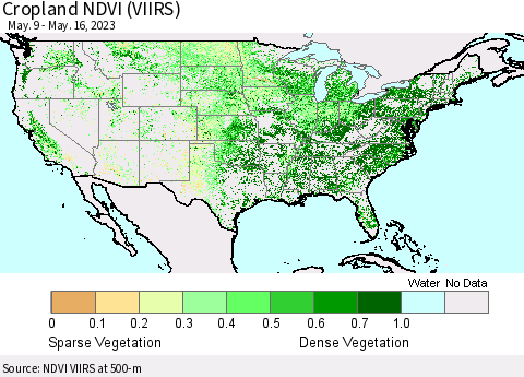 United States Cropland NDVI (VIIRS) Thematic Map For 5/9/2023 - 5/16/2023