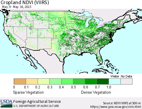 United States Cropland NDVI (VIIRS) Thematic Map For 5/11/2023 - 5/20/2023