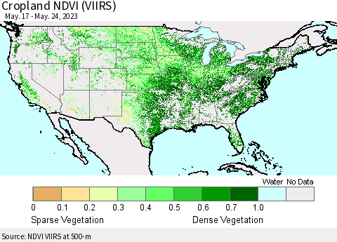 United States Cropland NDVI (VIIRS) Thematic Map For 5/17/2023 - 5/24/2023