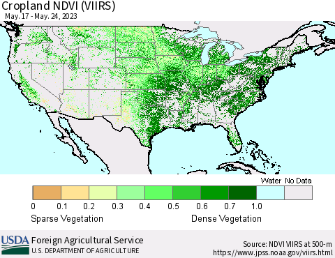 United States Cropland NDVI (VIIRS) Thematic Map For 5/21/2023 - 5/31/2023