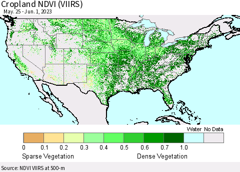 United States Cropland NDVI (VIIRS) Thematic Map For 5/25/2023 - 6/1/2023