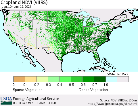 United States Cropland NDVI (VIIRS) Thematic Map For 6/11/2023 - 6/20/2023