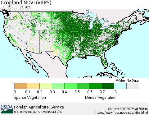 United States Cropland NDVI (VIIRS) Thematic Map For 7/21/2023 - 7/31/2023