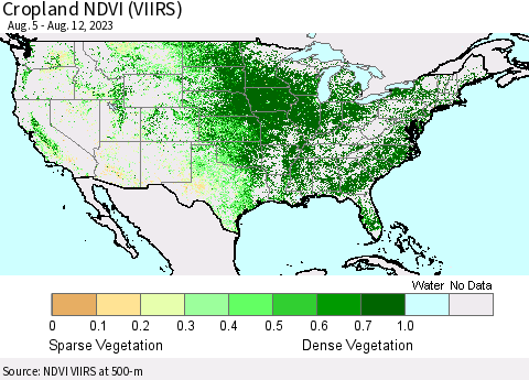 United States Cropland NDVI (VIIRS) Thematic Map For 8/5/2023 - 8/12/2023
