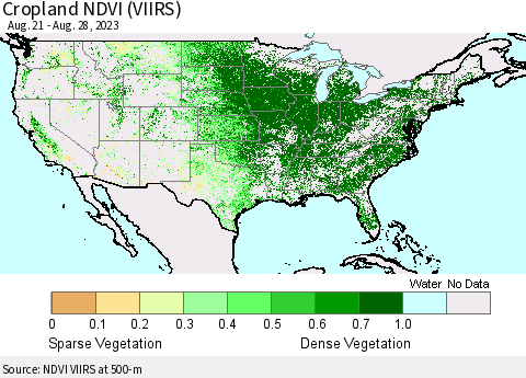 United States Cropland NDVI (VIIRS) Thematic Map For 8/21/2023 - 8/28/2023
