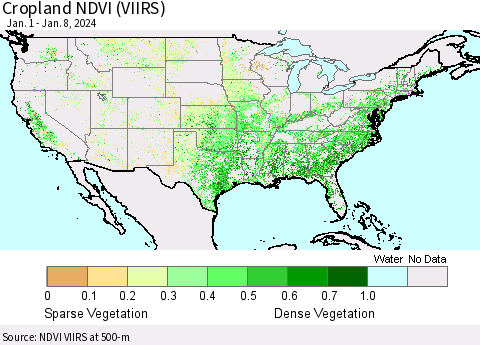 United States Cropland NDVI (VIIRS) Thematic Map For 1/1/2024 - 1/8/2024