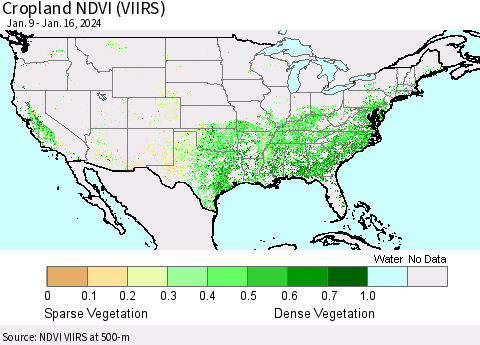 United States Cropland NDVI (VIIRS) Thematic Map For 1/9/2024 - 1/16/2024