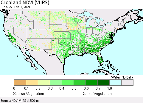 United States Cropland NDVI (VIIRS) Thematic Map For 1/25/2024 - 2/1/2024