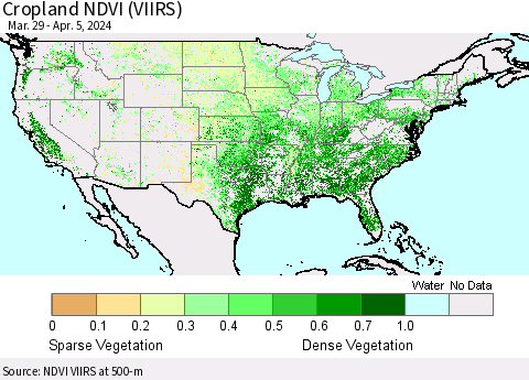 United States Cropland NDVI (VIIRS) Thematic Map For 3/29/2024 - 4/5/2024