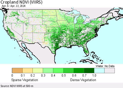 United States Cropland NDVI (VIIRS) Thematic Map For 4/6/2024 - 4/13/2024