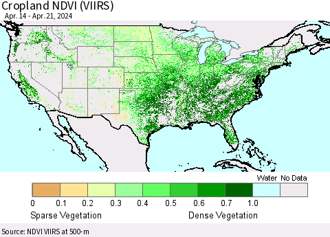 United States Cropland NDVI (VIIRS) Thematic Map For 4/14/2024 - 4/21/2024