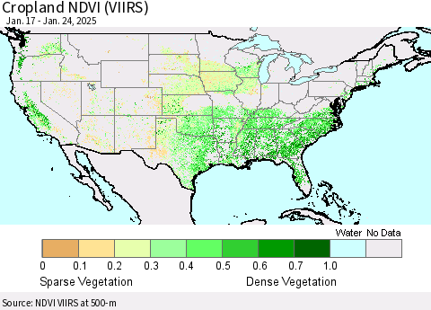 United States Cropland NDVI (VIIRS) Thematic Map For 1/17/2025 - 1/24/2025