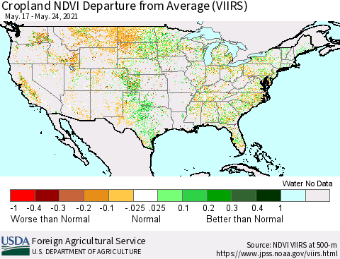 United States Cropland NDVI Departure from Average (VIIRS) Thematic Map For 5/21/2021 - 5/31/2021