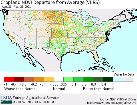 United States Cropland NDVI Departure from Average (VIIRS) Thematic Map For 8/21/2021 - 8/31/2021
