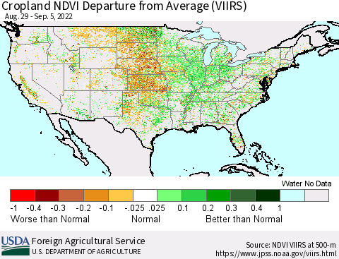 United States Cropland NDVI Departure from Average (VIIRS) Thematic Map For 9/1/2022 - 9/10/2022