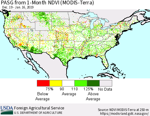 United States PASG from 1-Month NDVI (Terra-MODIS) Thematic Map For 1/11/2019 - 1/20/2019
