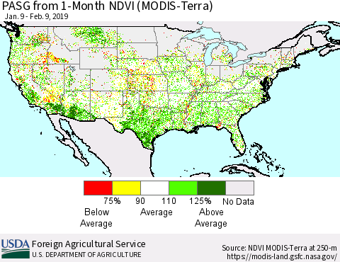 United States PASG from 1-Month NDVI (Terra-MODIS) Thematic Map For 2/1/2019 - 2/10/2019