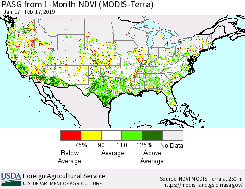 United States PASG from 1-Month NDVI (Terra-MODIS) Thematic Map For 2/11/2019 - 2/20/2019