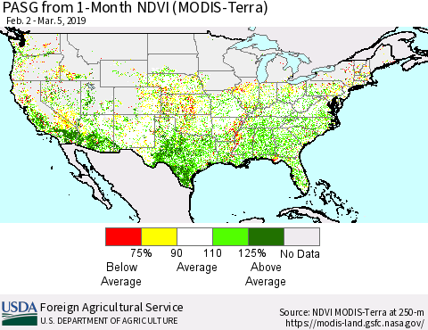 United States PASG from 1-Month NDVI (Terra-MODIS) Thematic Map For 3/1/2019 - 3/10/2019