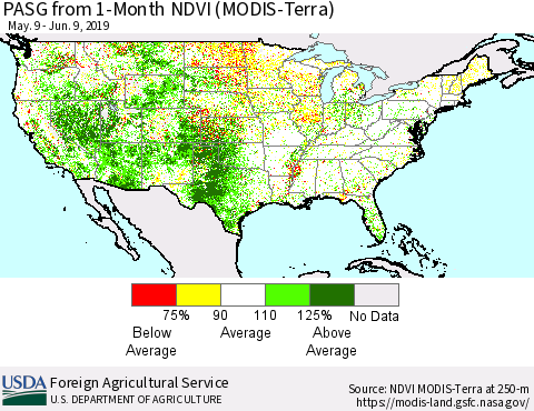 United States PASG from 1-Month NDVI (Terra-MODIS) Thematic Map For 6/1/2019 - 6/10/2019