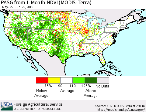 United States PASG from 1-Month NDVI (Terra-MODIS) Thematic Map For 6/21/2019 - 6/30/2019