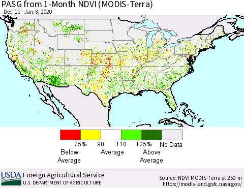 United States PASG from 1-Month NDVI (Terra-MODIS) Thematic Map For 1/1/2020 - 1/10/2020