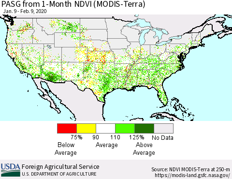 United States PASG from 1-Month NDVI (Terra-MODIS) Thematic Map For 2/1/2020 - 2/10/2020