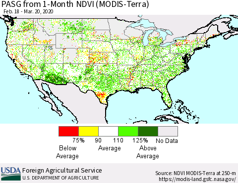 United States PASG from 1-Month NDVI (Terra-MODIS) Thematic Map For 3/11/2020 - 3/20/2020