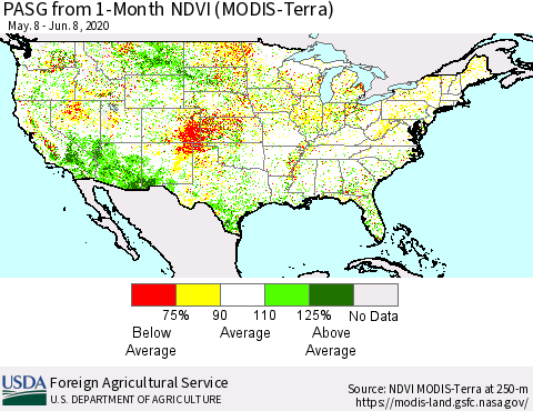 United States PASG from 1-Month NDVI (Terra-MODIS) Thematic Map For 6/1/2020 - 6/10/2020
