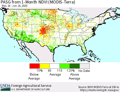 United States PASG from 1-Month NDVI (Terra-MODIS) Thematic Map For 6/11/2020 - 6/20/2020