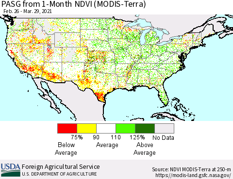 United States PASG from 1-Month NDVI (Terra-MODIS) Thematic Map For 3/21/2021 - 3/31/2021
