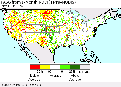 United States PASG from 1-Month NDVI (Terra-MODIS) Thematic Map For 5/25/2021 - 6/1/2021