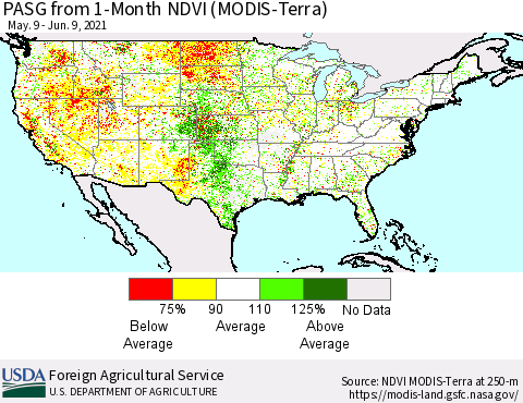 United States PASG from 1-Month NDVI (Terra-MODIS) Thematic Map For 6/1/2021 - 6/10/2021