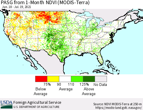 United States PASG from 1-Month NDVI (MODIS-Terra) Thematic Map For 7/11/2021 - 7/20/2021